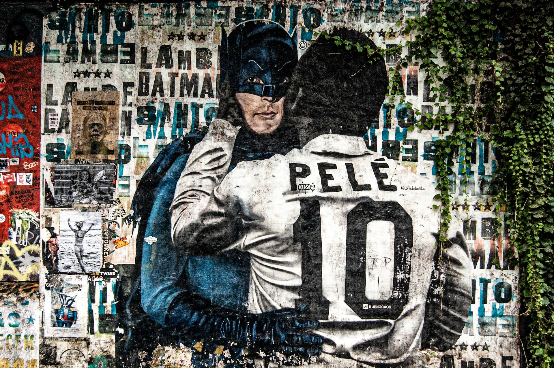 arte-de-rua-pele